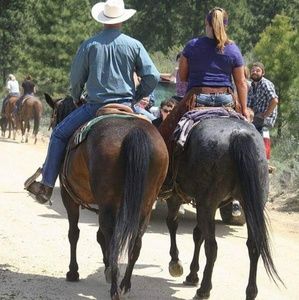 Meet your Posher, Shelly